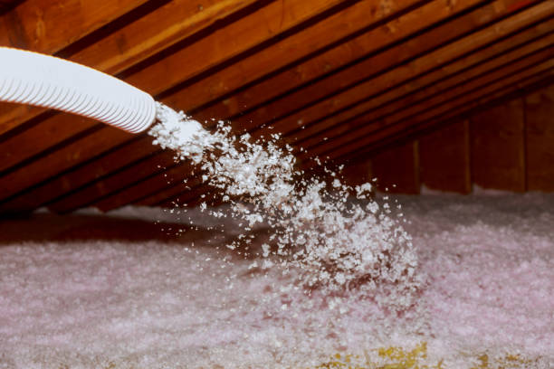 Best Spray Foam Insulation  in Chieand, FL